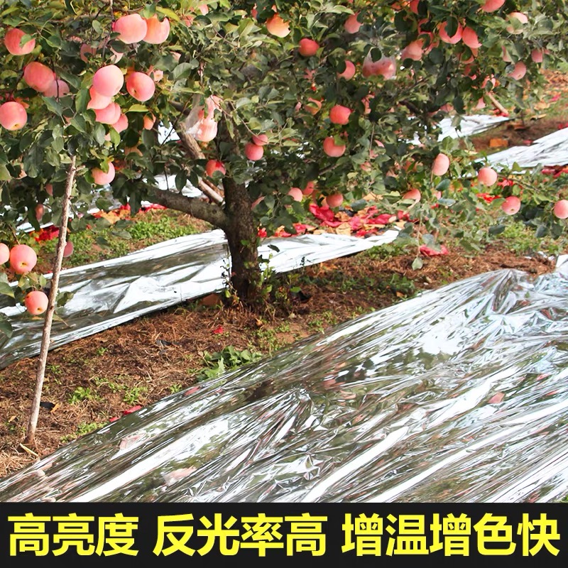 绍兴市农用薄膜果树反光膜 - 厂家